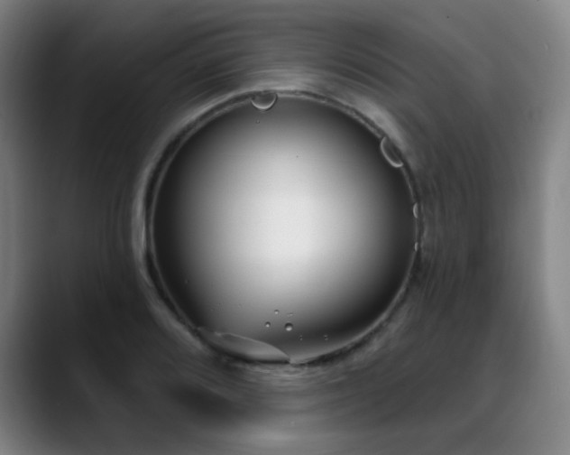 X0000089441080200706151409
