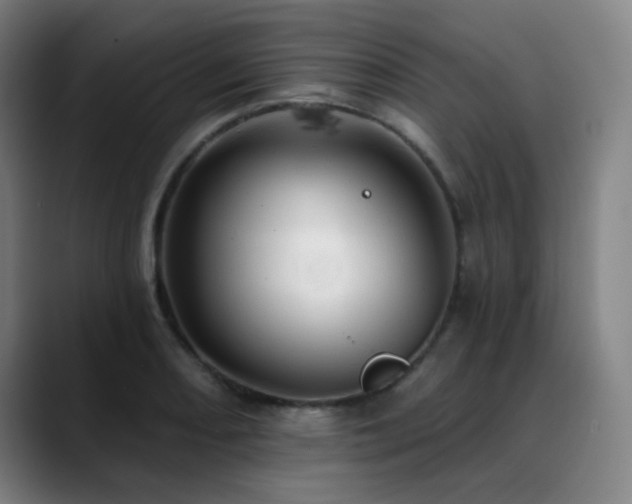 X0000089441082200706151409
