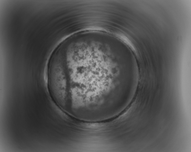 X0000089441084200706151409