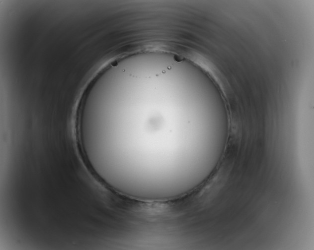 X0000089441090200706151409
