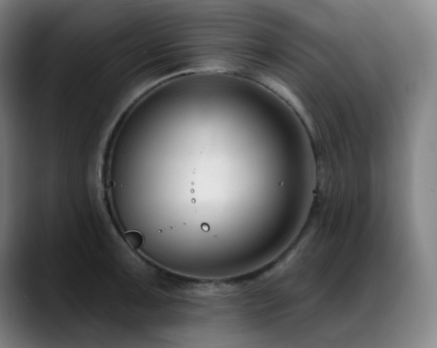 X0000089441091200706151409