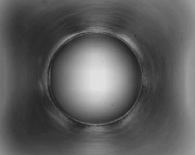 X0000089441094200706151409
