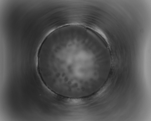 X0000089441095200706151409