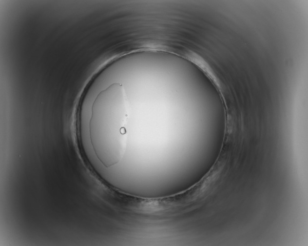 X0000089441098200706151409
