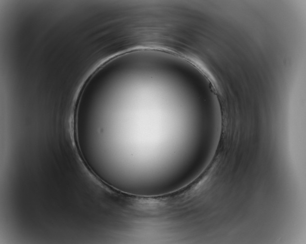 X0000089441100200706151409
