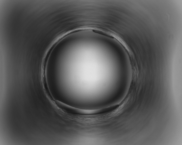 X0000089441101200706151409