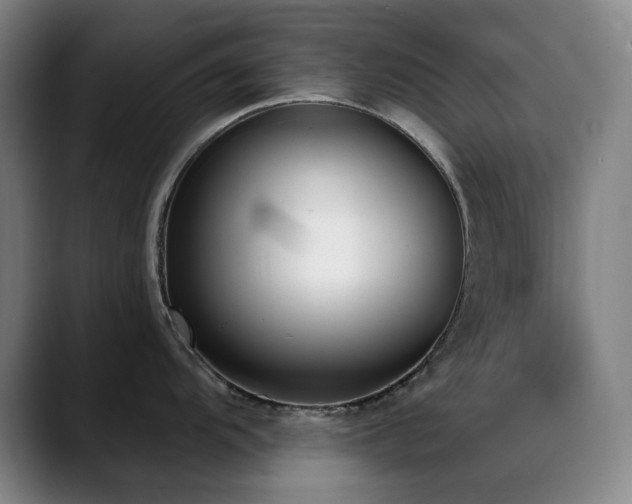 X0000089441104200706151409