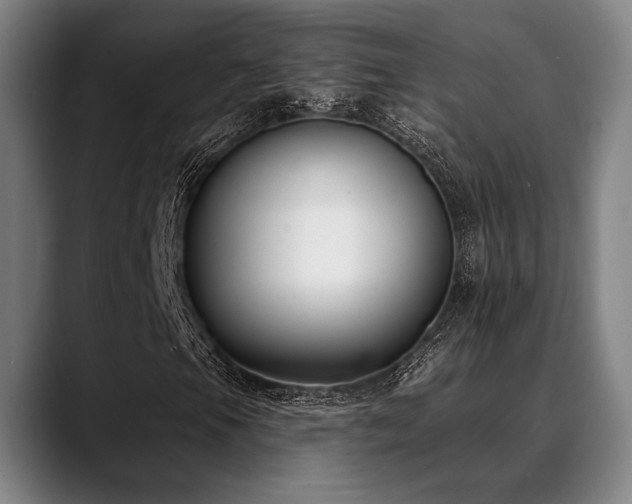 X0000089441105200706151408