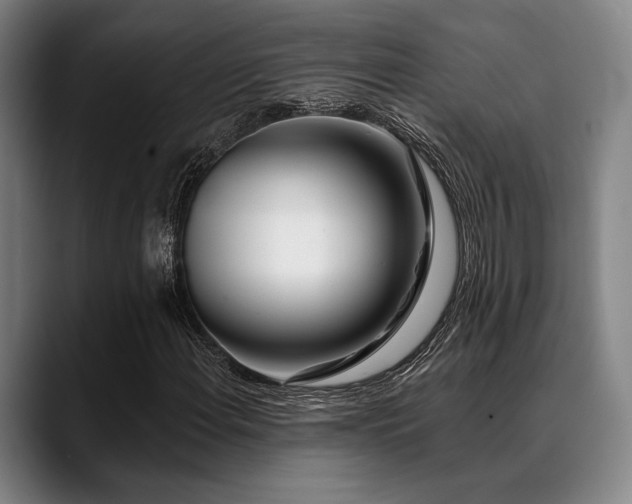 X0000089441108200706151408