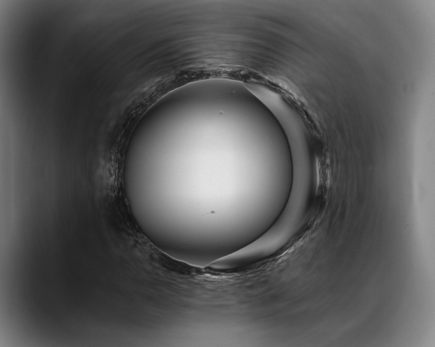 X0000089441110200706151408