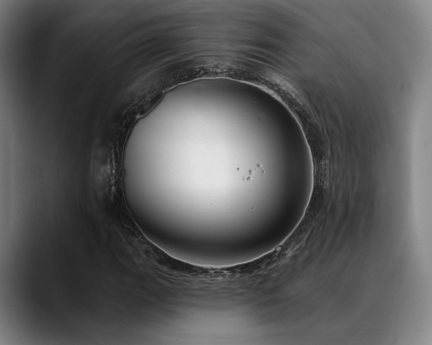 X0000089441111200706151408