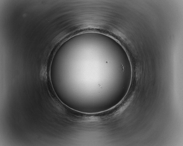 X0000089441113200706151408