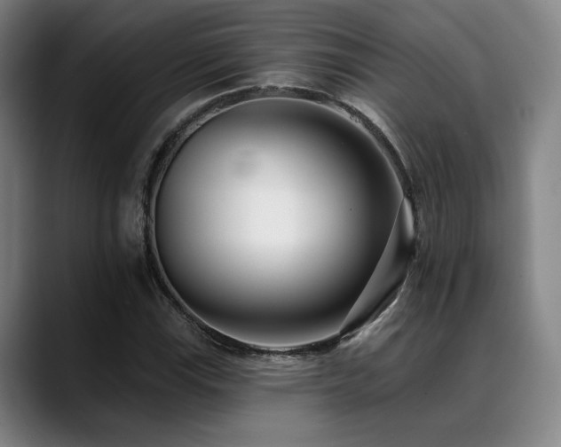X0000089441115200706151408