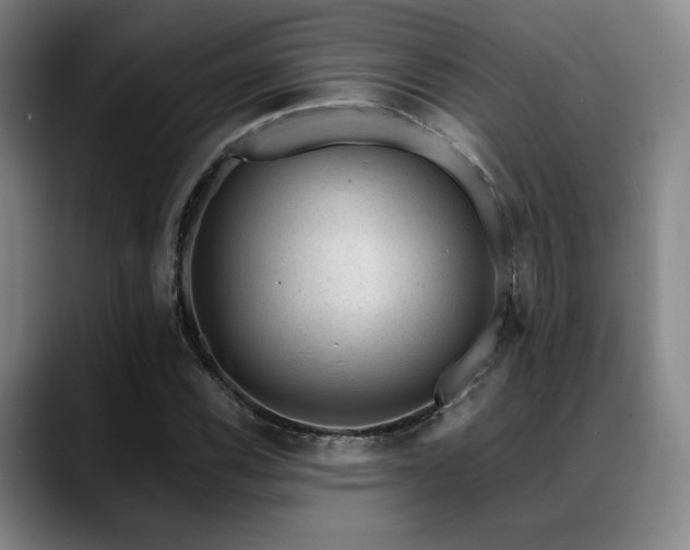 X0000089441116200706151408