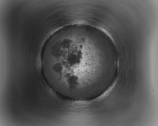 X0000089441117200706151408