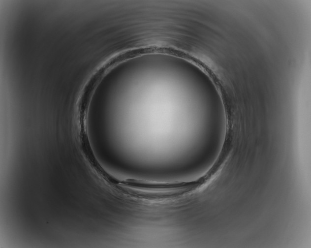 X0000089441118200706151408