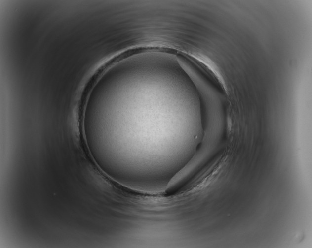 X0000089441120200706151408