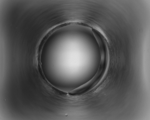 X0000089441124200706151409