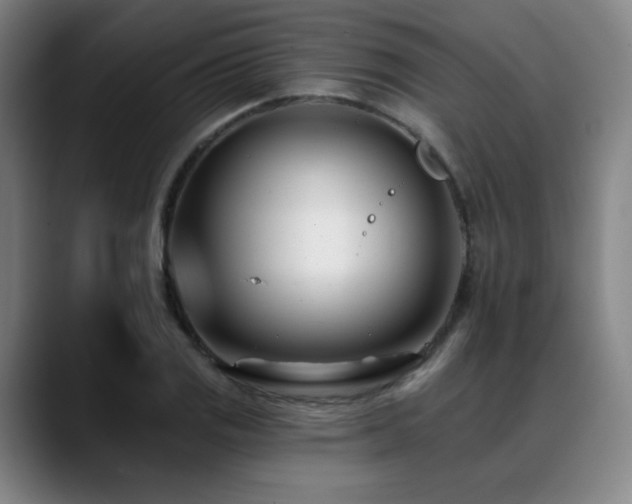 X0000089441125200706151409