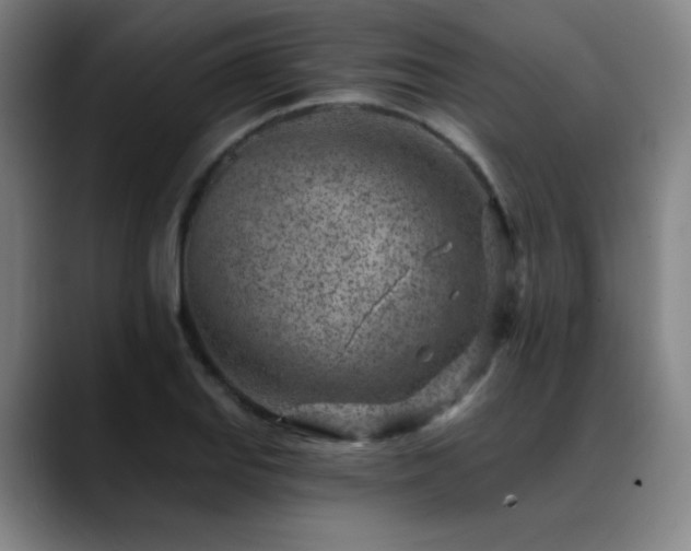 X0000089441127200706151409