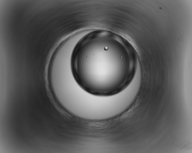 X0000089441128200706151409