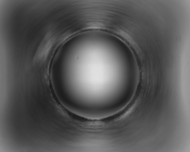 X0000089441129200706151409