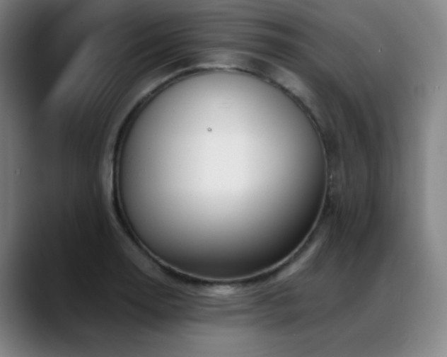 X0000089441130200706151409
