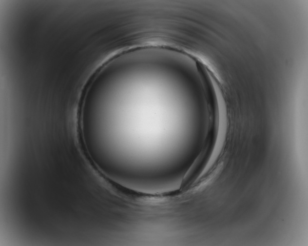 X0000089441134200706151409