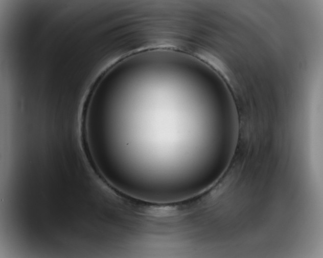 X0000089441135200706151409