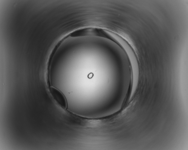 X0000089441136200706151409