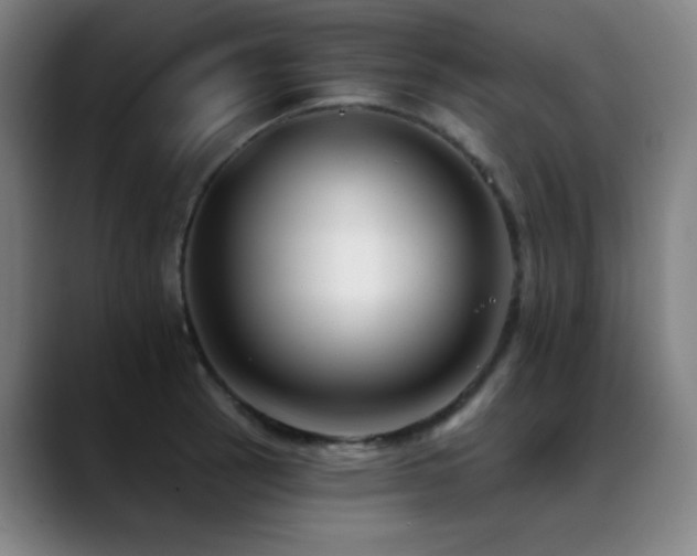 X0000089441137200706151409