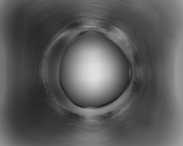 X0000089441138200706151409