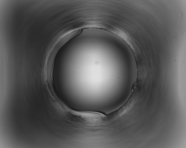 X0000089441140200706151409