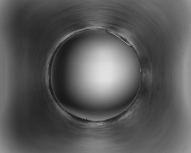 X0000089441143200706151409