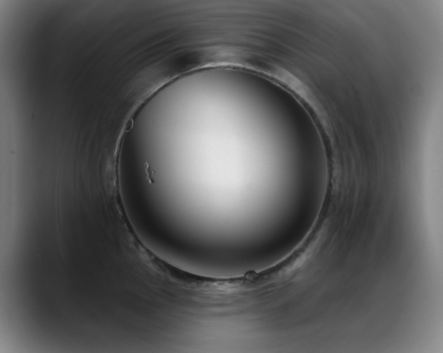 X0000089441145200706151409