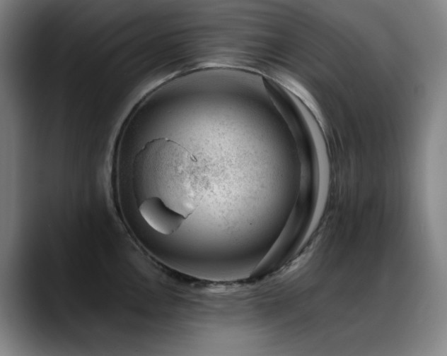 X0000089441146200706151409
