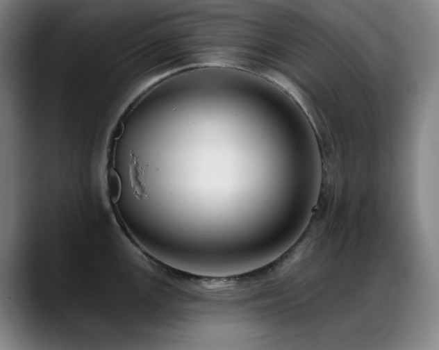 X0000089441147200706151409