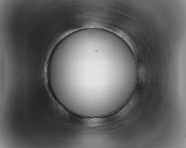 X0000089441150200706151409