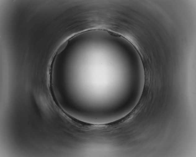 X0000089441151200706151409