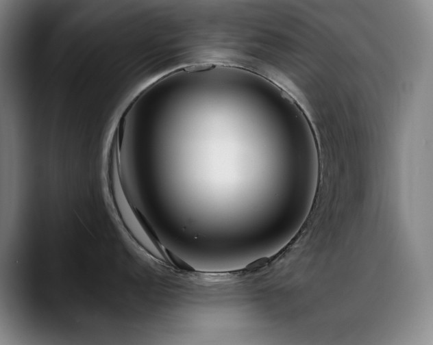 X0000089441152200706151409