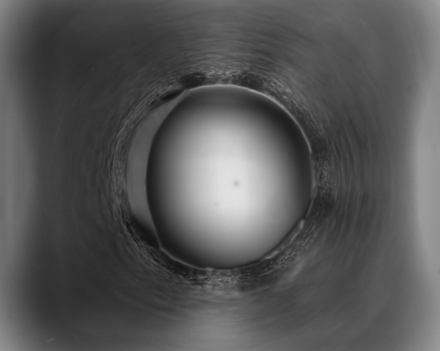 X0000089441153200706151408