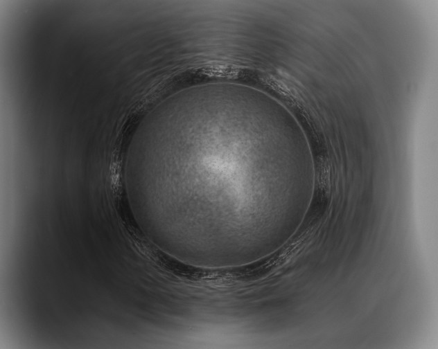 X0000089441154200706151408