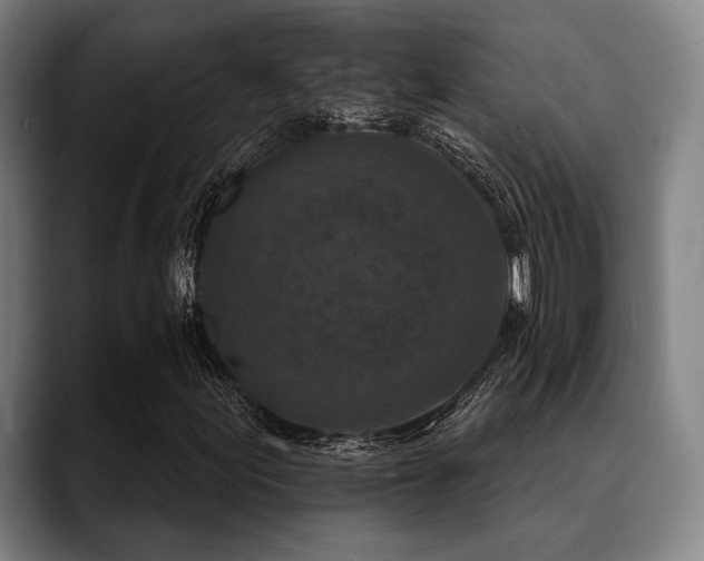X0000089441155200706151408