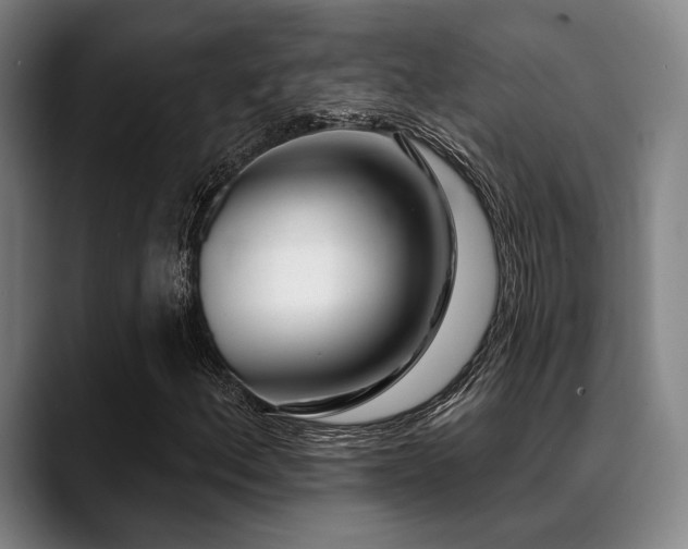 X0000089441156200706151408