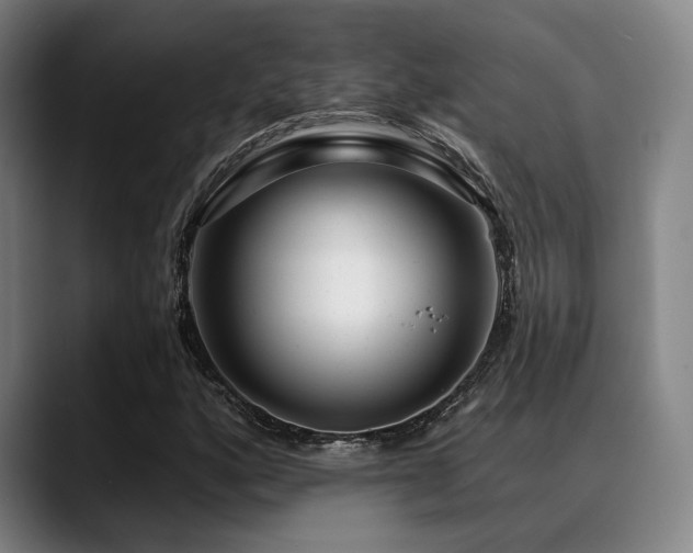 X0000089441160200706151408