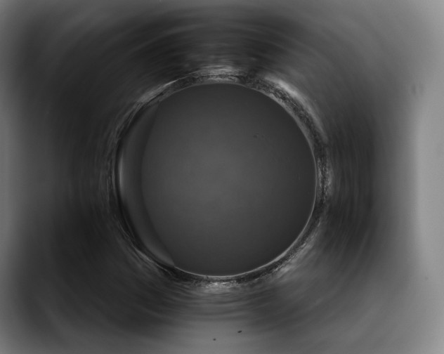 X0000089441161200706151408