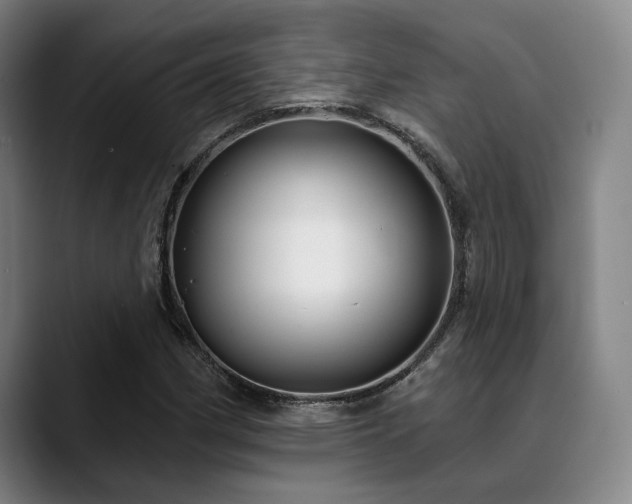 X0000089441162200706151408