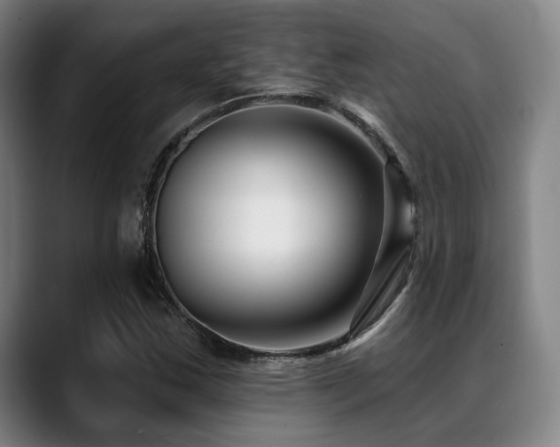 X0000089441163200706151408