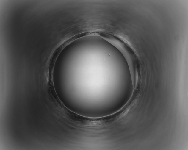 X0000089441165200706151408