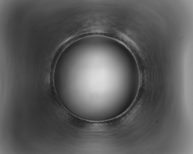 X0000089441166200706151408